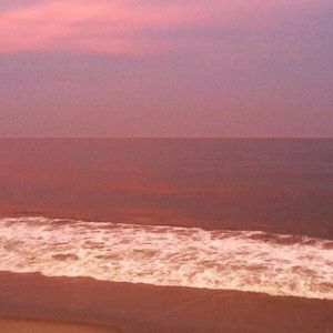 Meet your Posher, Lilac